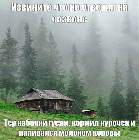 Извинение за пропущенный созвон