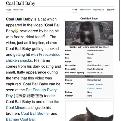 Coal Ball Baby Wikipedia Article