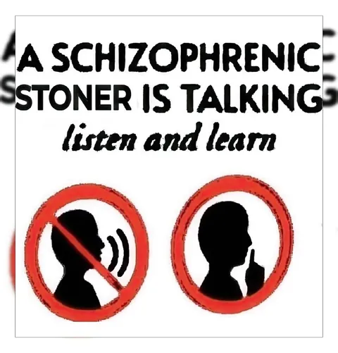 Schizophrenic Stoner Lecture
