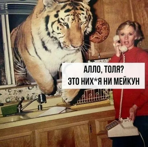 Тигр вместо мейн-куна
