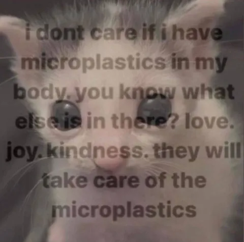Cat Finds Love in Microplastics
