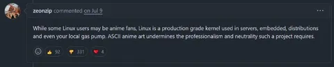 Linux Kernel Professionalism