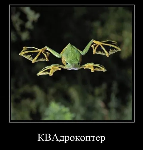 Квадрокоптер из лягушки