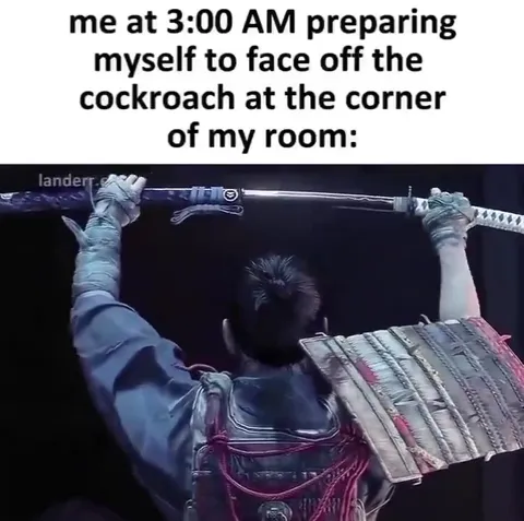 Samurai Versus Flying Cockroach
