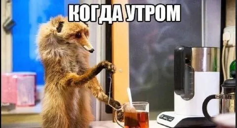 Когда утром хочется чаю