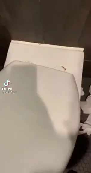 Кто-то прячется за унитазом