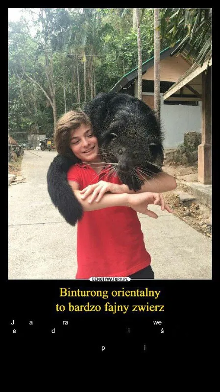 Binturong orientalny i dziecko