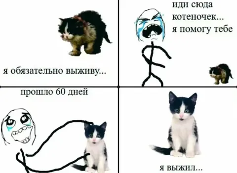 Котёнок, который выжил