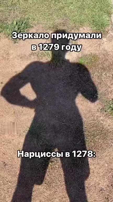 Нарциссы увидели тень