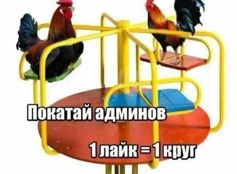 Покатай админов за лайк