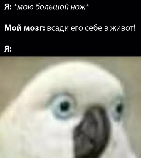 Мозг советует странное