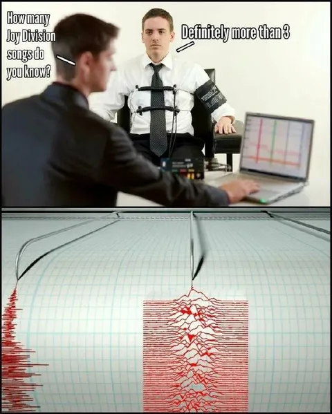 Joy Division Song Interrogation