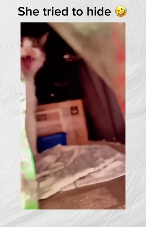 She Tried to Hide the Kitten