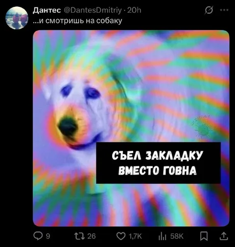 Съел закладку вместо говна