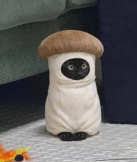 Кот в костюме гриба