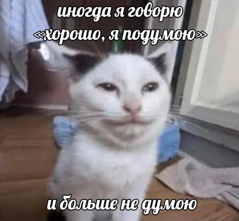 Кот, который больше не думает