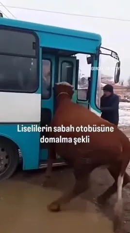 Liselilerin sabah otobüsüne domalma şekli
