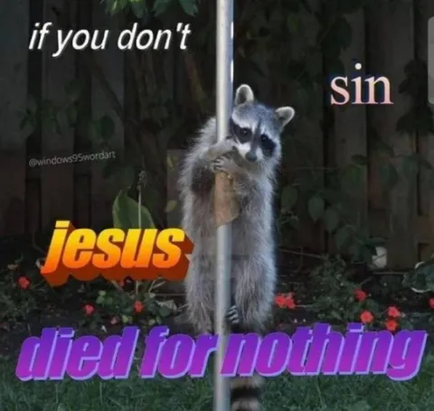 Raccoon Jesus Died for Nothing