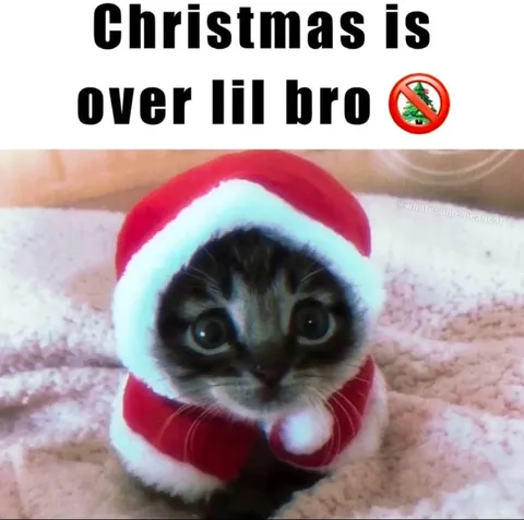 Christmas Is Over Lil Bro