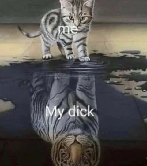 Cat Sees a Tiger