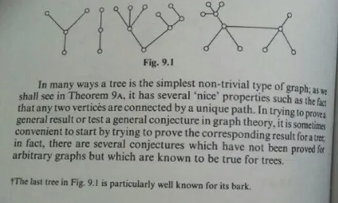 The Tree Known for Its Bark