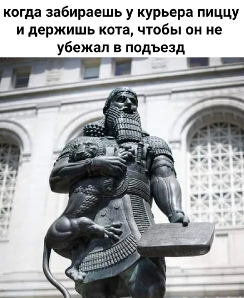Курьерская доставка с котом