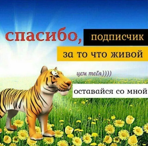 Спасибо, подписичик, что живой