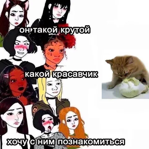 Девушки хотят познакомиться с ним