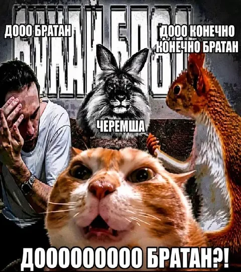 Дооооооо братан