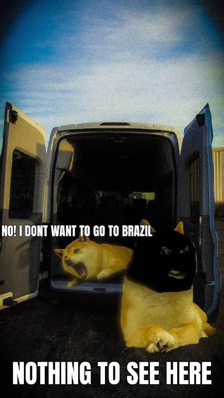 Nothing to See Here Doge