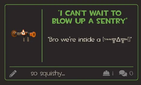 Inside a Sentry