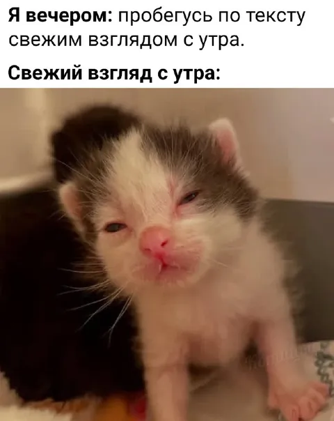 Свежий взгляд с утра