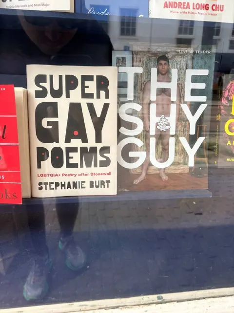 Super Gay Poems and The Gay Guy
