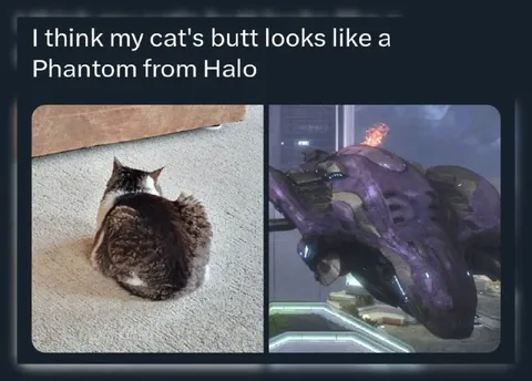 Cat Butt Looks Like a Phantom