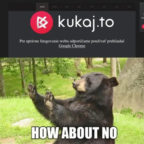 Medveď hovorí How About No