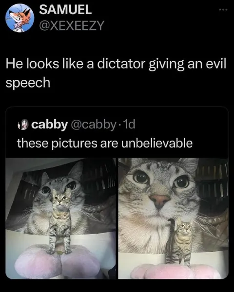 Tiny Cat Gives Evil Speech