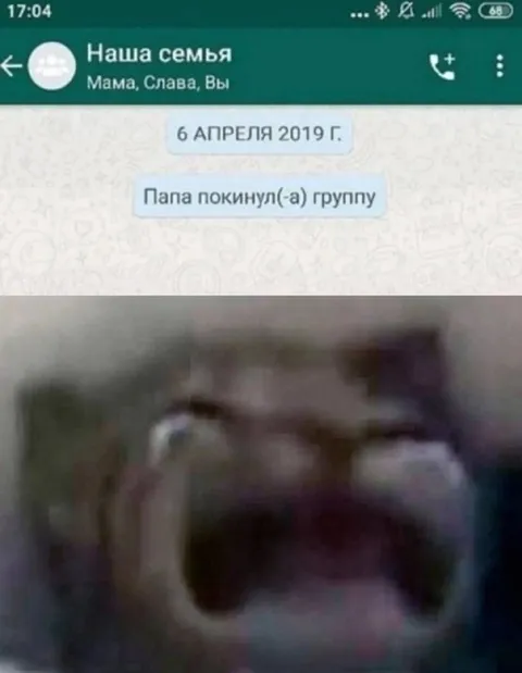 Папа покинул семейную группу