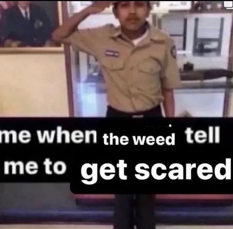 When the Weed Says Get Scared