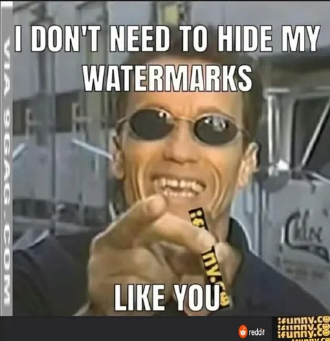 I Don't Need to Hide My Watermarks
