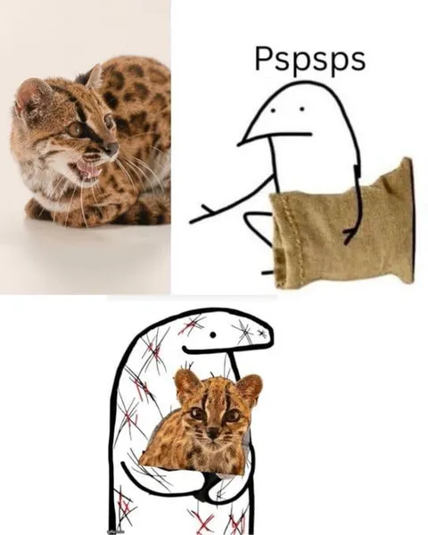 Pspsps Cat Summoning