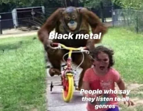 Black Metal Genre Sampler