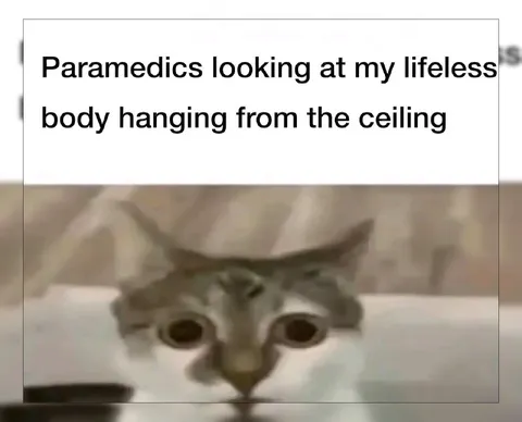 Paramedics Find Lifeless Ceiling Cat