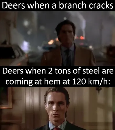 Deer Versus Two Tons of Steel