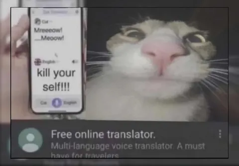 Cat Translator Says Kill Yourself