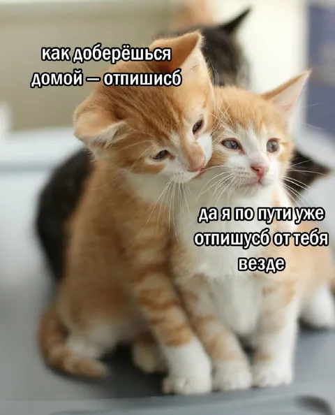 Отпишусь от тебя везде