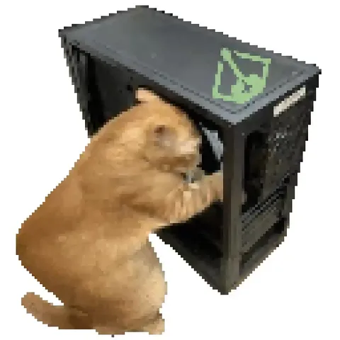 Кот пытается взломать компьютер