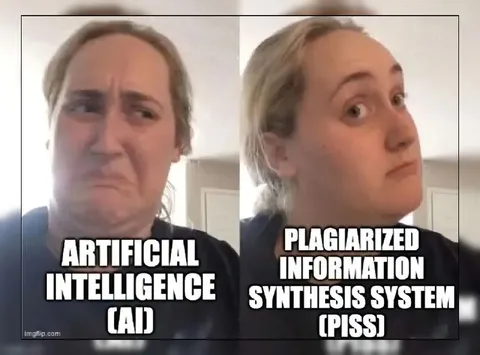 Plagiarized Information Synthesis System