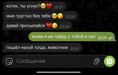 Котик резко передумал