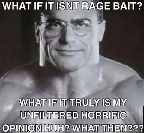 What If It Isn't Rage Bait?