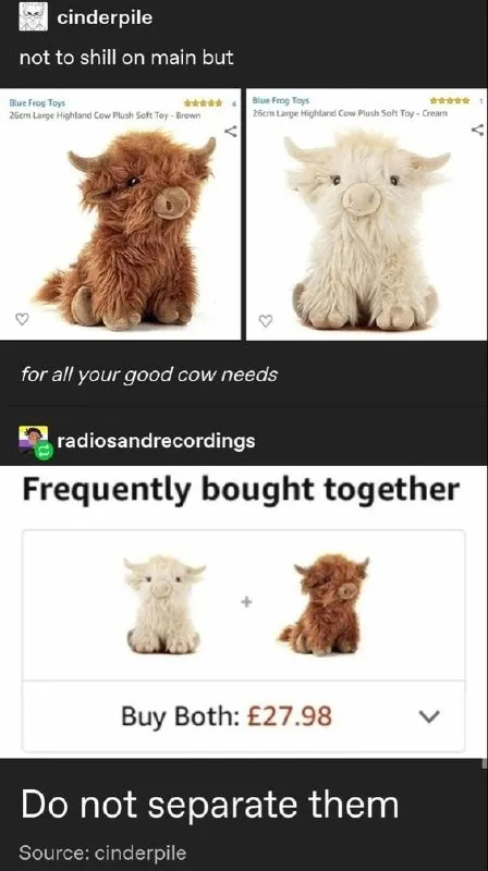 Do Not Separate the Highland Cows